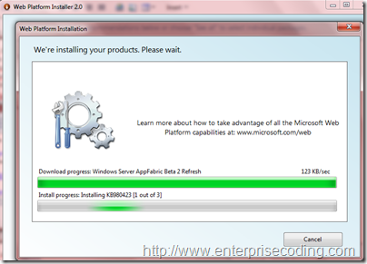 WPI Install Progress