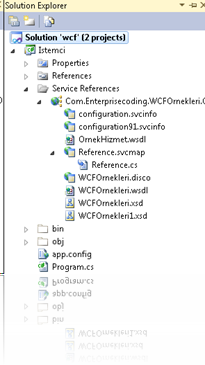 Tüm dosyaların gösterilmesi sonrasında Solution Explorer