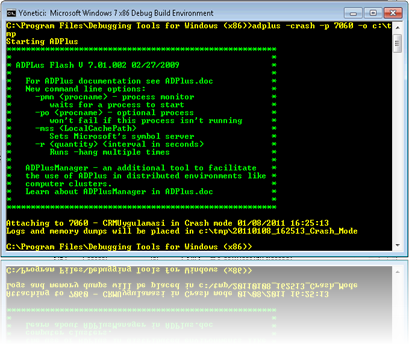 ADPlus crash modunda çalışırken