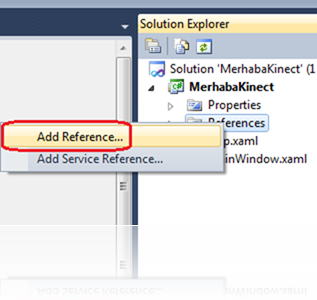 Dll referansı eklemek için Add Reference menü girdisi kullanılabilir