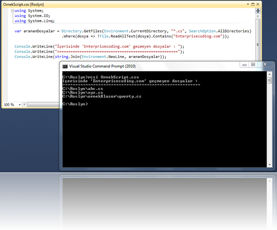Örnek bir C# script'inin rsci ile çalıştırılması