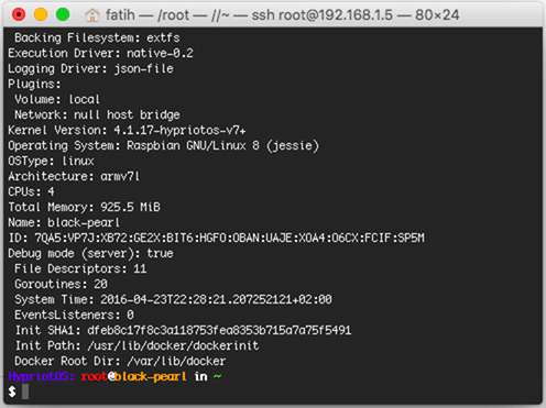 HypriotOS-DockerInfo_thumb