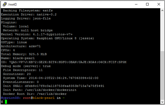 HypriotOS-Putty-DockerInfo