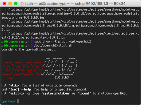 OpenHAB başlatıldığında Apache Karaf shell'i bizi karşılayacaktır
