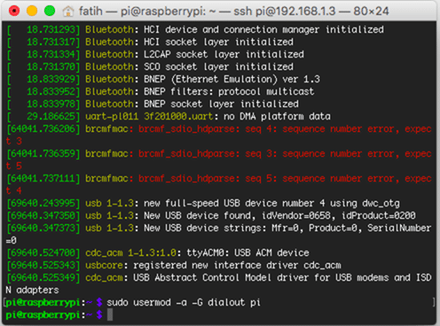 'sudo usermod -a -G dialout pi' komutu ile kullanıcıyı dialout grubuna dahil edin