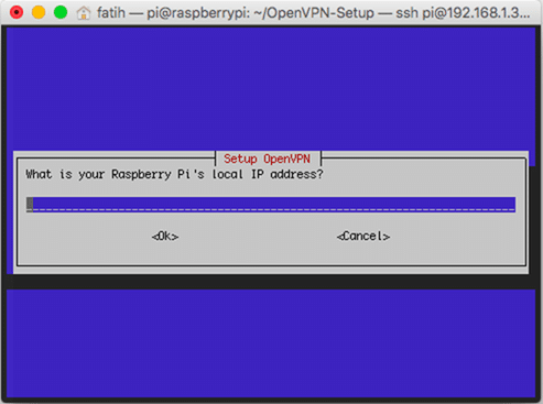 OpenVPN kurulum için kullanılacak iç IP adresi