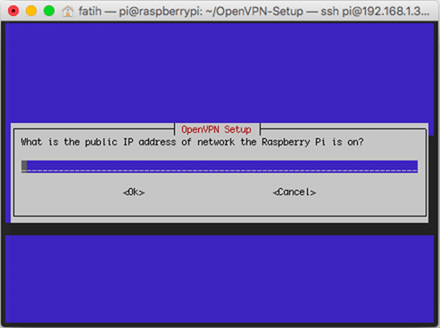 OpenVPN kurulum için kullanılacak Dış IP adresi