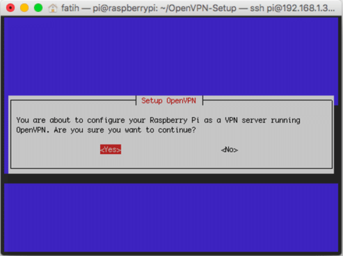 OpenVPN kurulum seçeneği. Devam etmek istediğinize emin misiniz? :)