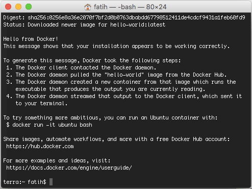 docker run hello-world