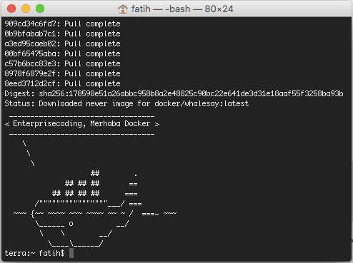 Docker, WhaleSay imajı