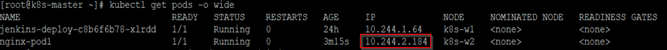 nginx-pod-ip