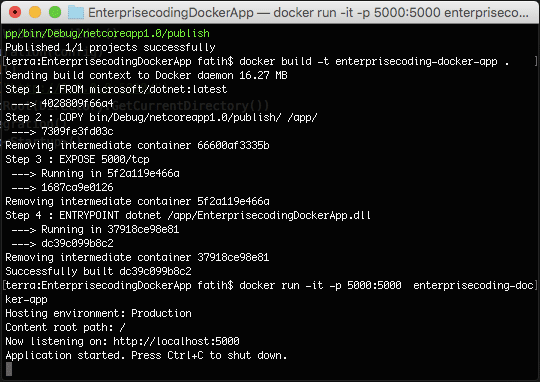docker run komutu ile Docker container'ını başlatabilirsiniz
